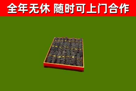 巴楚回收海参
